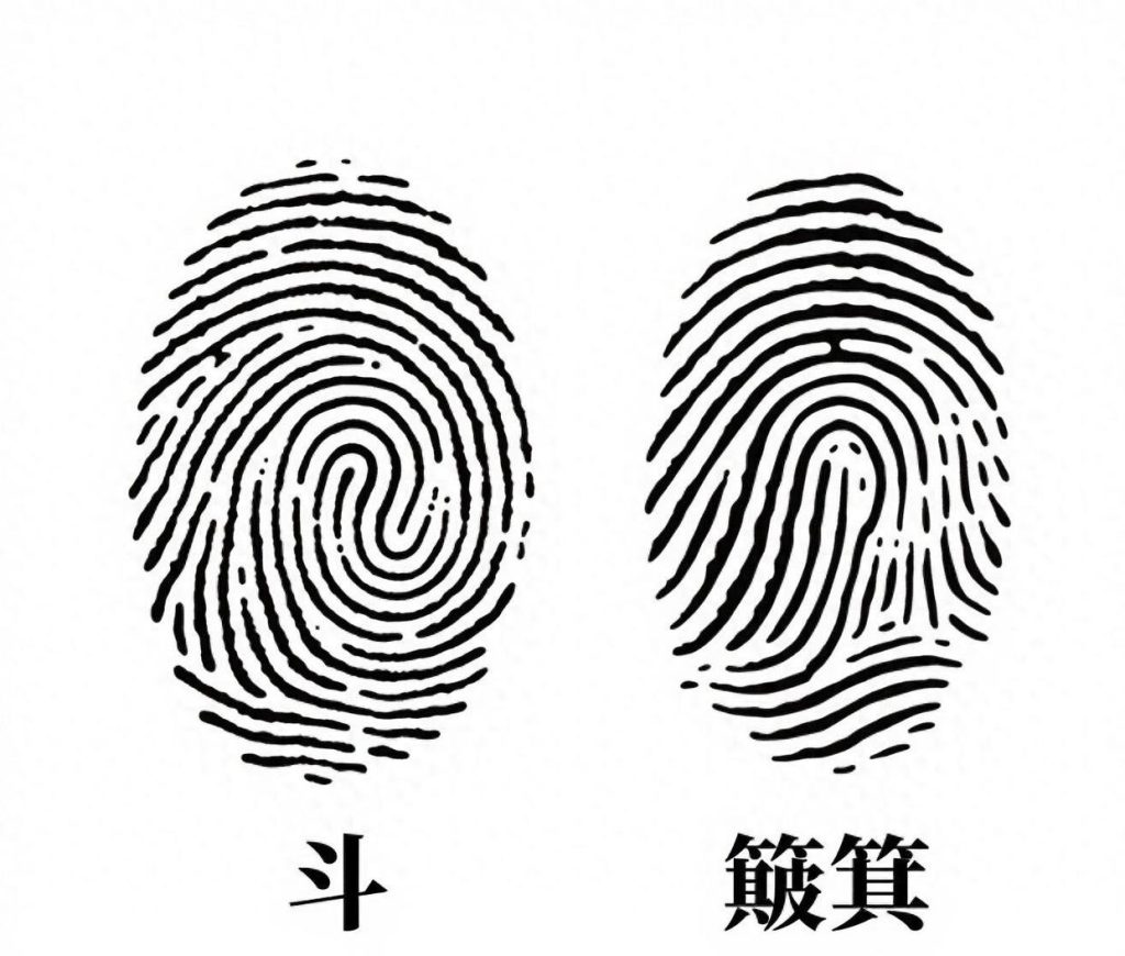 指纹